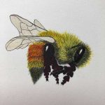 Artist: Lorrie Owens