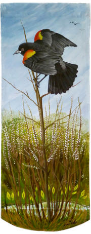 Jude Toler Jude Toler - Yachats Banner 2023